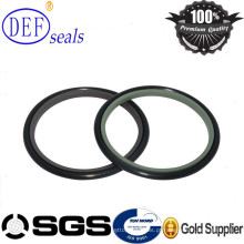 PTFE Buffer Rod Seal with Oring